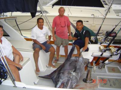 500 lb. Big Blue Marlin